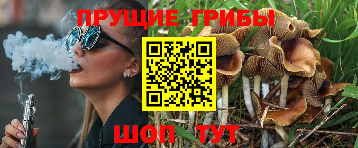 Галлюциногенные грибы Cubensis  Псилоцибиновые грибы Psilocybe  Анжеро-Судженск  Вход с VPN 